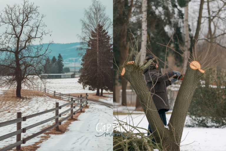 Prepare Garden for Spring